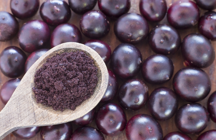 Açaí Científicos prueban fruto contra el COVID-19, estas son sus propiedades