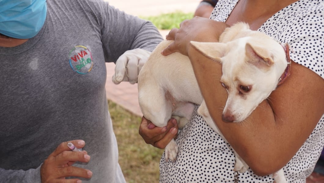 Inicio campaña de vacunación antirrábica en Campeche; aquí los lugares de aplicación