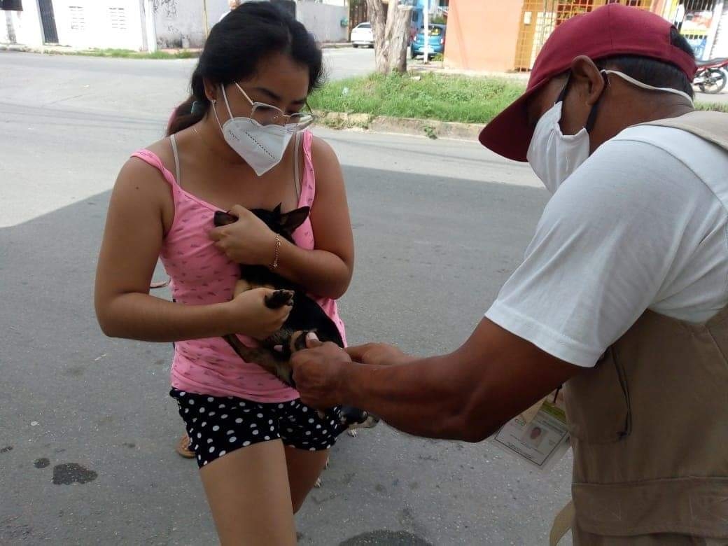 Arranca semana de vacunación antirrábica en 7 colonias de Chetumal