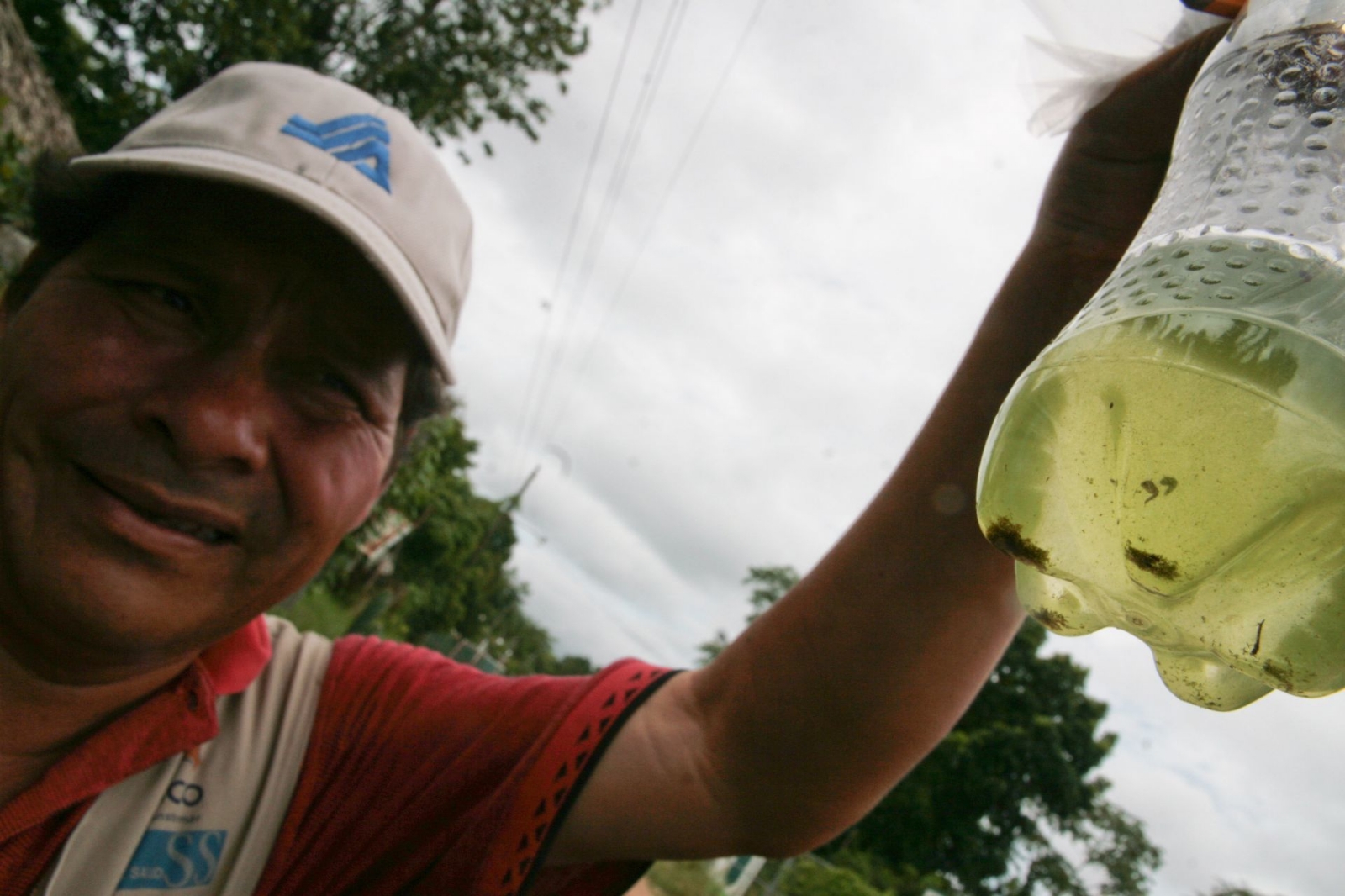 Dengue daría inmunidad contra COVID-19, revela estudio