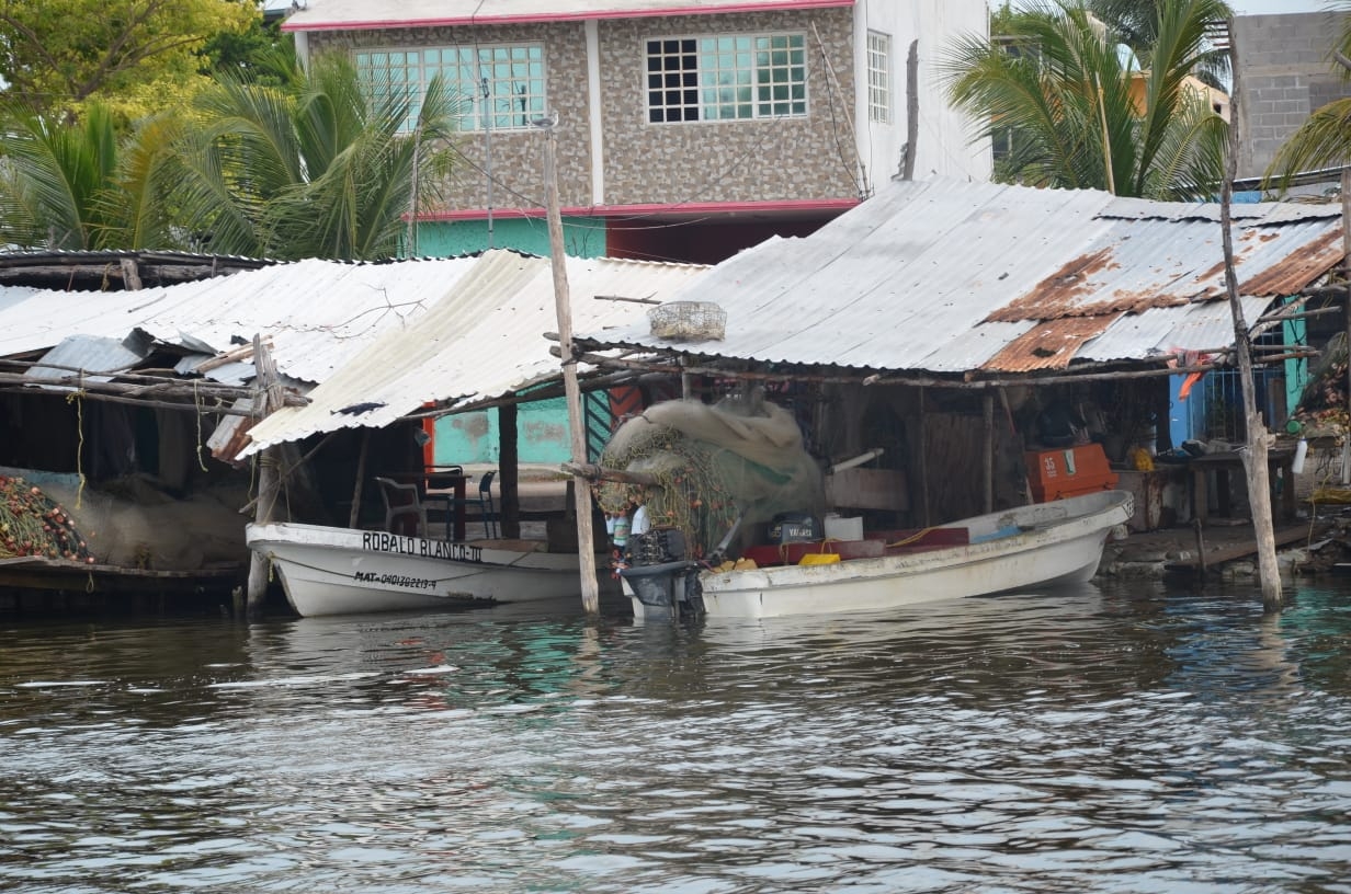 Pesca ribereña se vuelve insostenible en Ciudad del Carmen