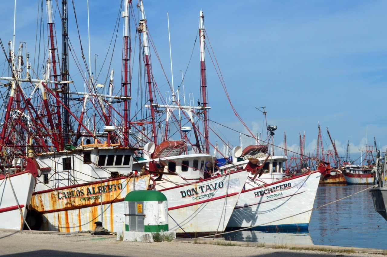 Pescadores de altura retoman actividades tras acuerdo en Campeche