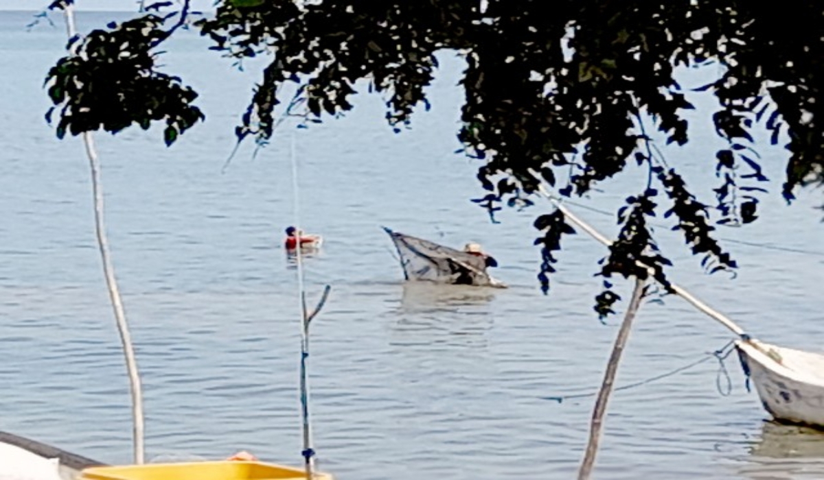 Persiste la pesca ilícita del camarón rosa en la Bahía de Champotón