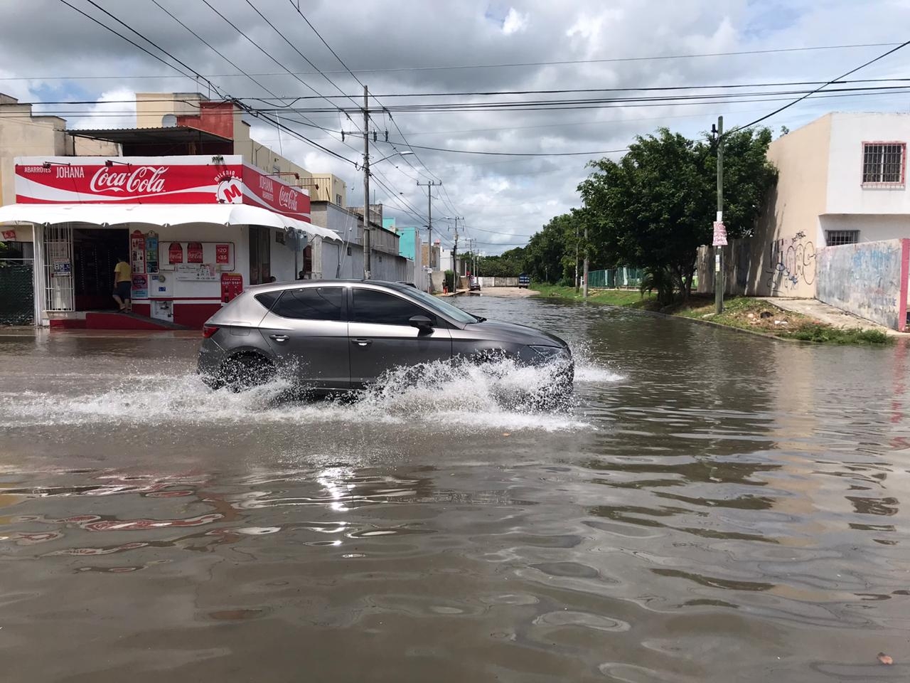 Foto: Mario Hernández Gallardo