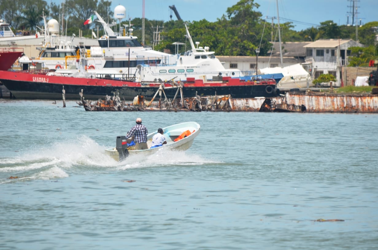 Apertura de veda del camarón con incertidumbre en Ciudad del Carmen