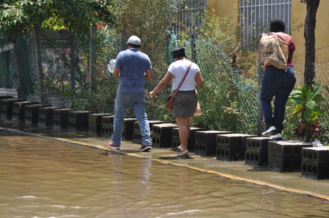 Foto: Agustín Ferrer