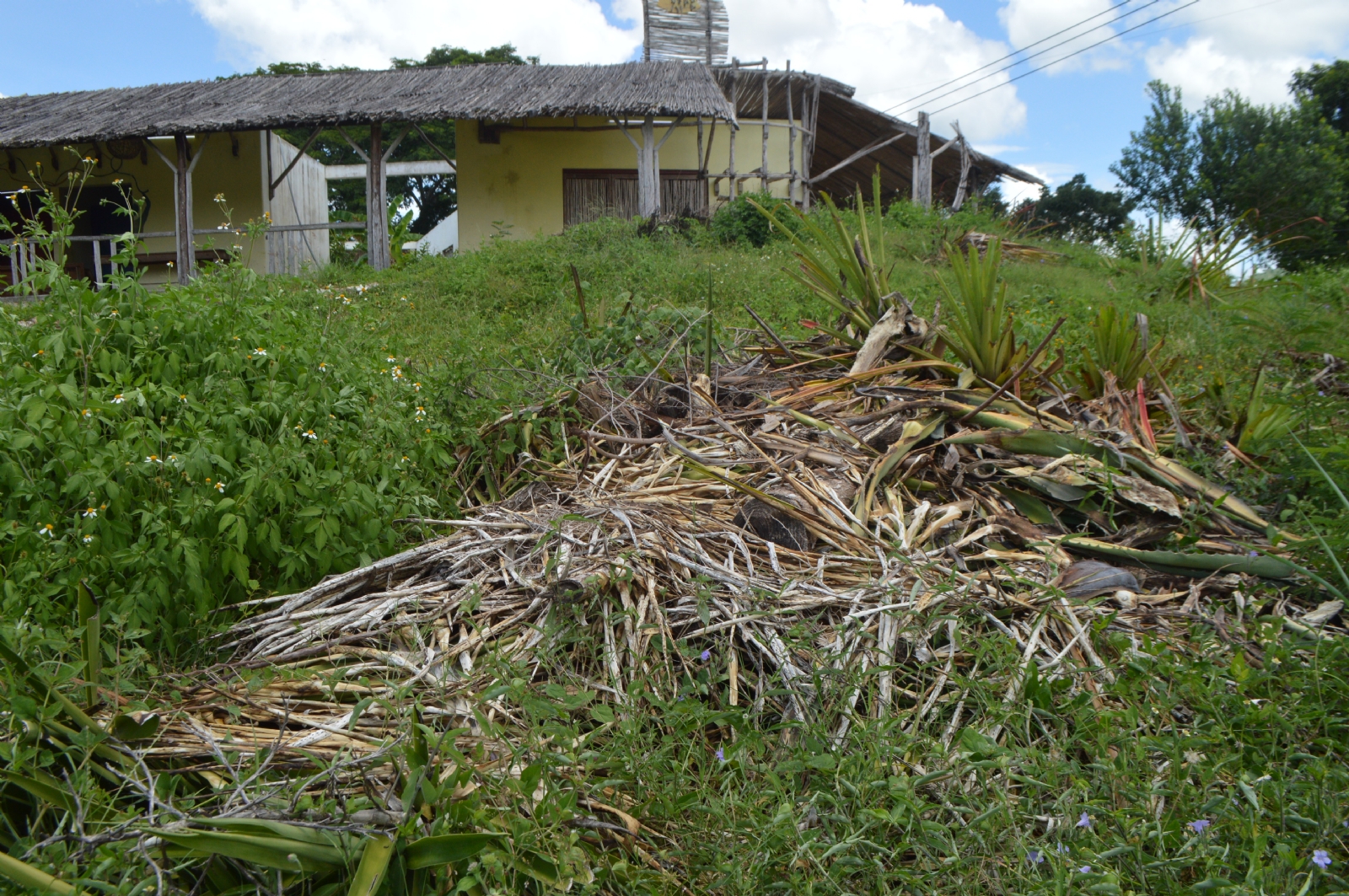 Acusan irregularidades en construcción de parador turístico en Izamal