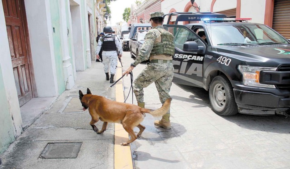 Autoridades de Campeche relajaron las medidas de seguridad en la contingencia: César Gutiérrez