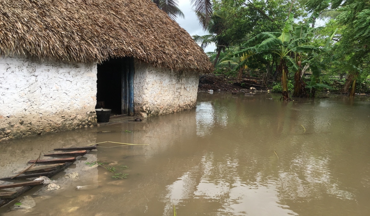 Piden apoyos para resarcir los daños que provocaron las inundaciones en la zona. Foto: Justino Xiu Chan