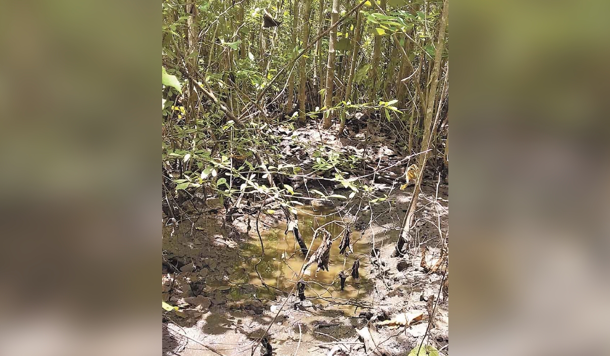 Campesinos de Chapab se niegan a ceder tierras ejidales