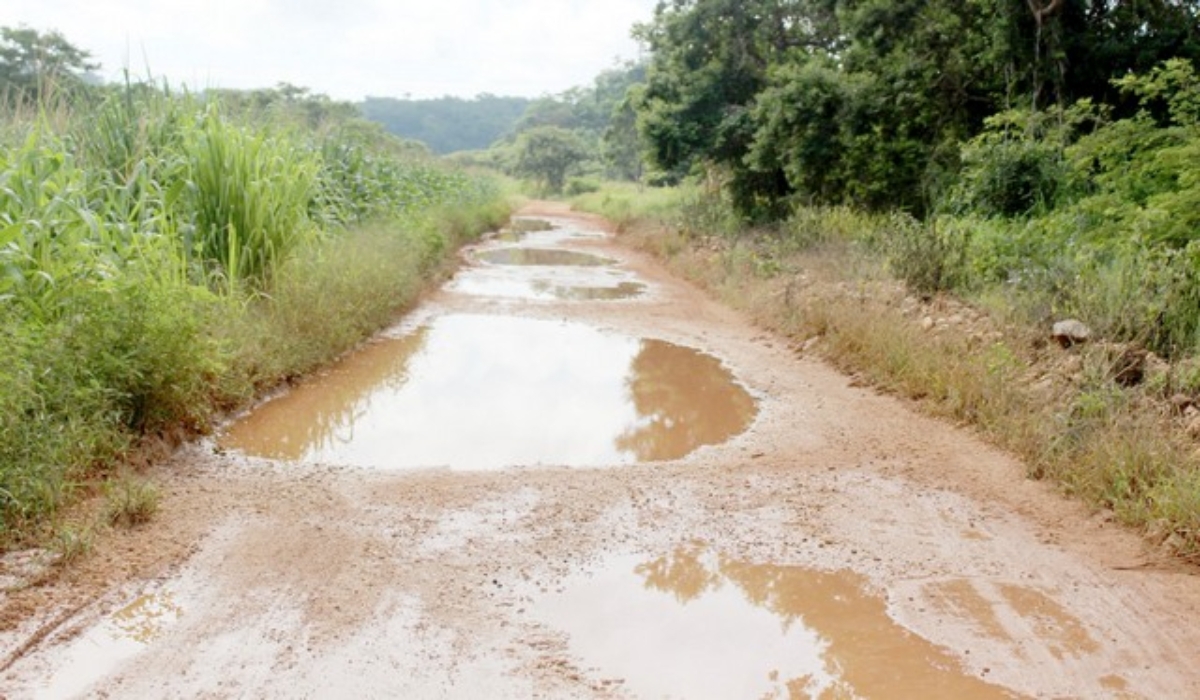 Campesinos de Dzitbalché piden concluir un camino sacacosecha