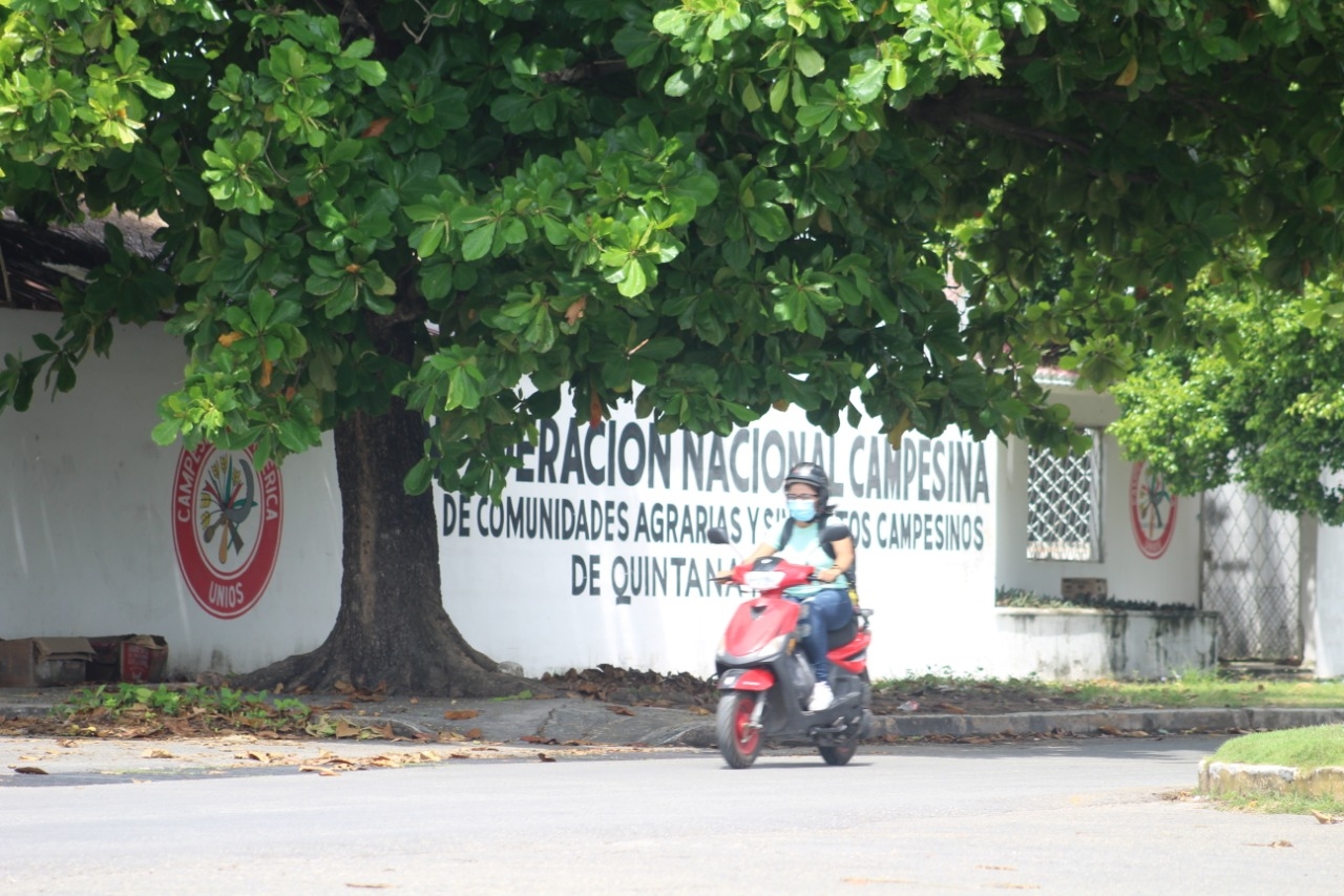 Luego de que el presidente de la República, Andrés Manuel López Obrador, negara apoyos a organizaciones, la CNC cerró sus puertas en Chetumal. Foto: Luis Enrique Tuz