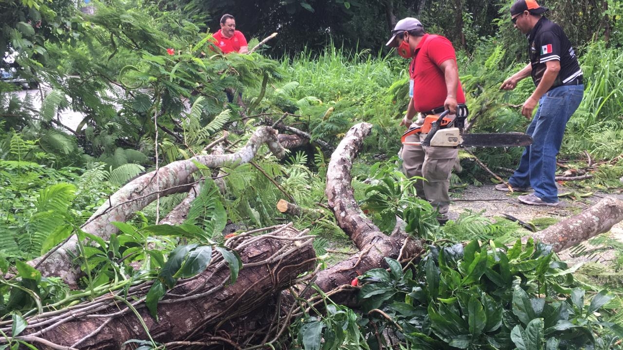 Depresión Tropical "Nana" deja fuertes vientos en Felipe Carrillo Puerto