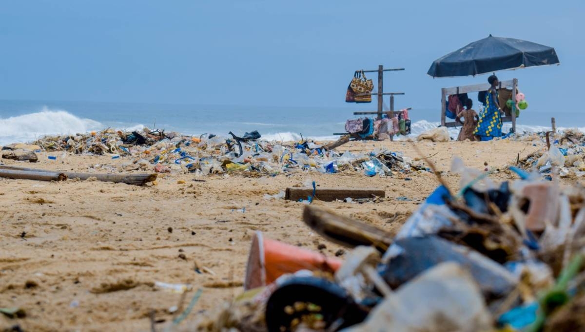 Qué es el deterioro ambiental y cuáles son sus consecuencias