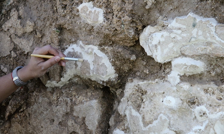 Descubren cementerio de 'gigantes' en ciudad rusa de hace 800 años