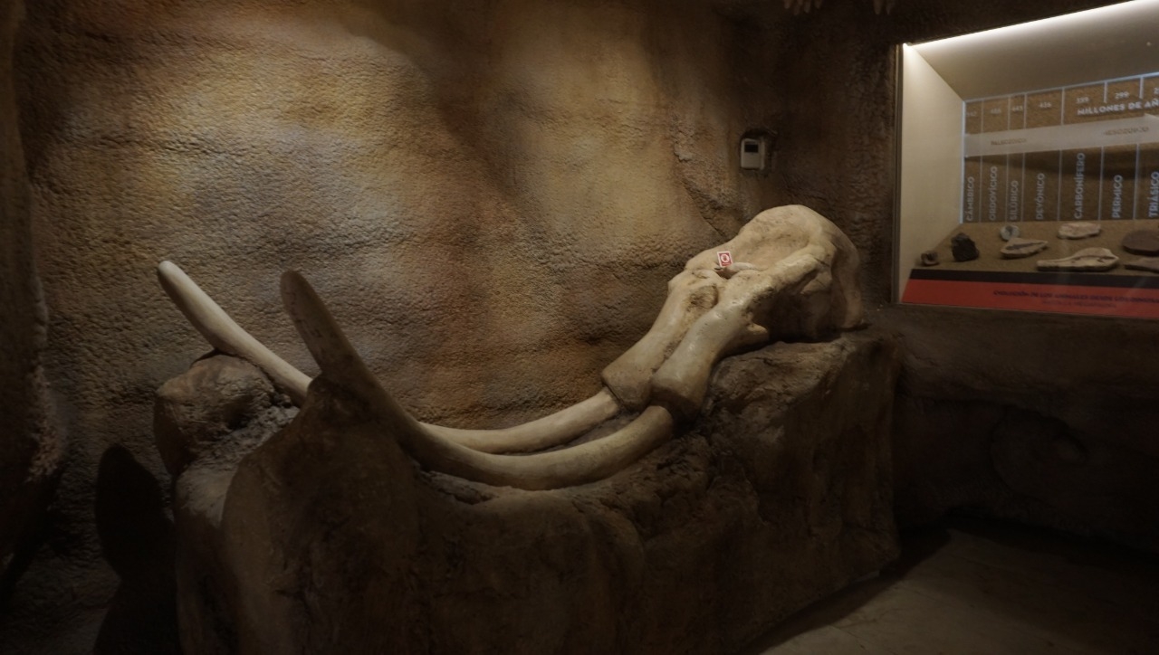 Tras 6 meses de permanecer cerrados, los museos de la entidad están listos para recibir visitantes Foto: Lucio Blanco