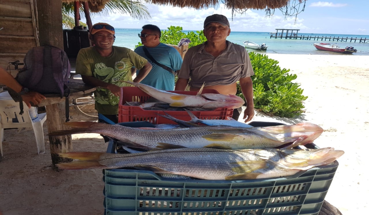 Pescadores de Playa del Carmen, a la expectativa por la temporada de especies pequeñas