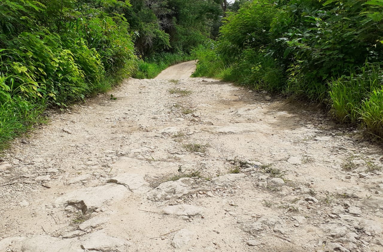 Urgen rehabilitación del camino que llega al poblado en José María Morelos