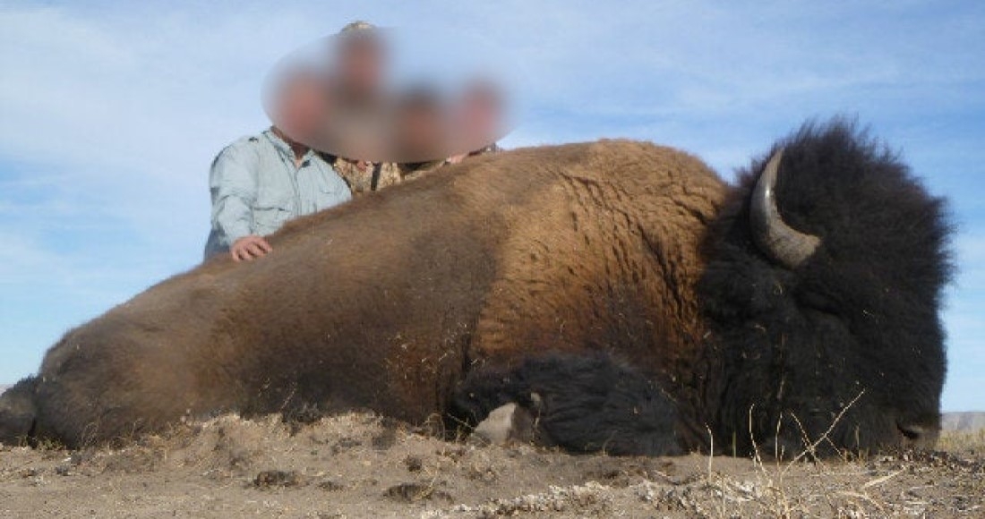 Caza de Bisontes en Coahuila causa indignación en redes