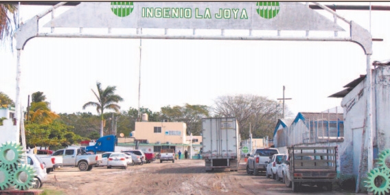 Frente Frío afecta industria azucarera en Campeche