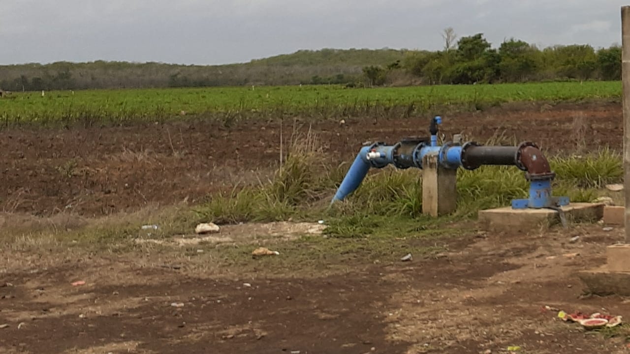 Lluvias retrasan siembra de sandía en Kancabchén