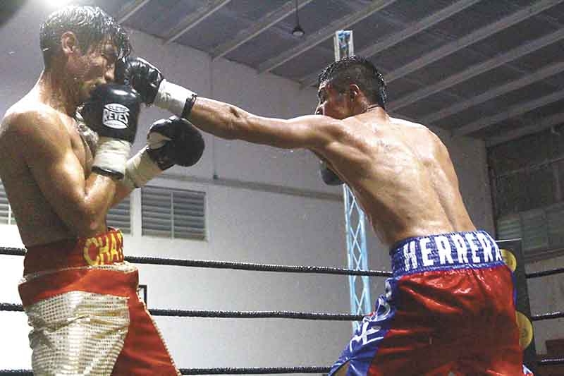 Todo listo para la primera función de box en Yucatán