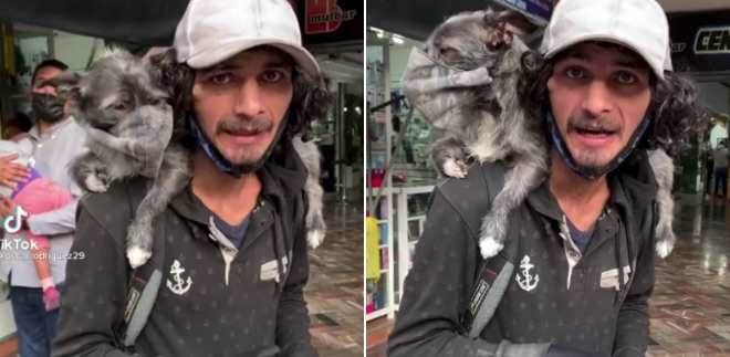 Marihuana, la perrita que usa cubrebocas y pone el ejemplo en Guadalajara: VIDEO