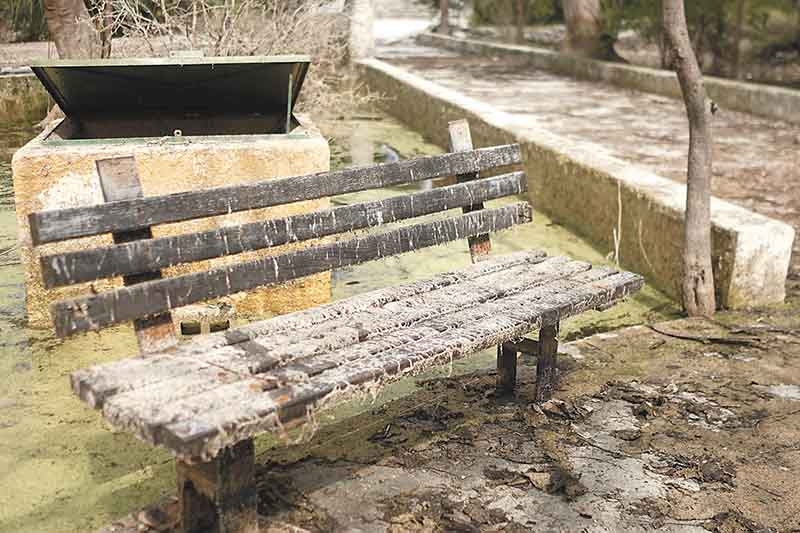 Parques Hundidos, hogar de moscos y sanguijuelas en Mérida