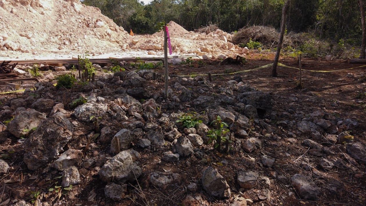 Tren Maya: Yucatán concentra el 47% de los monumentos arqueológicos encontrados