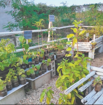 Con juegos, niños aprenden de herbolaria en Mérida