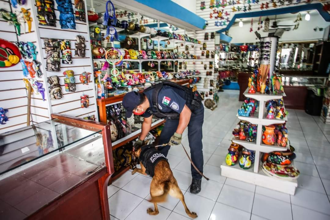 Acusan a Policías del robo de 4 mil dólares en Cozumel