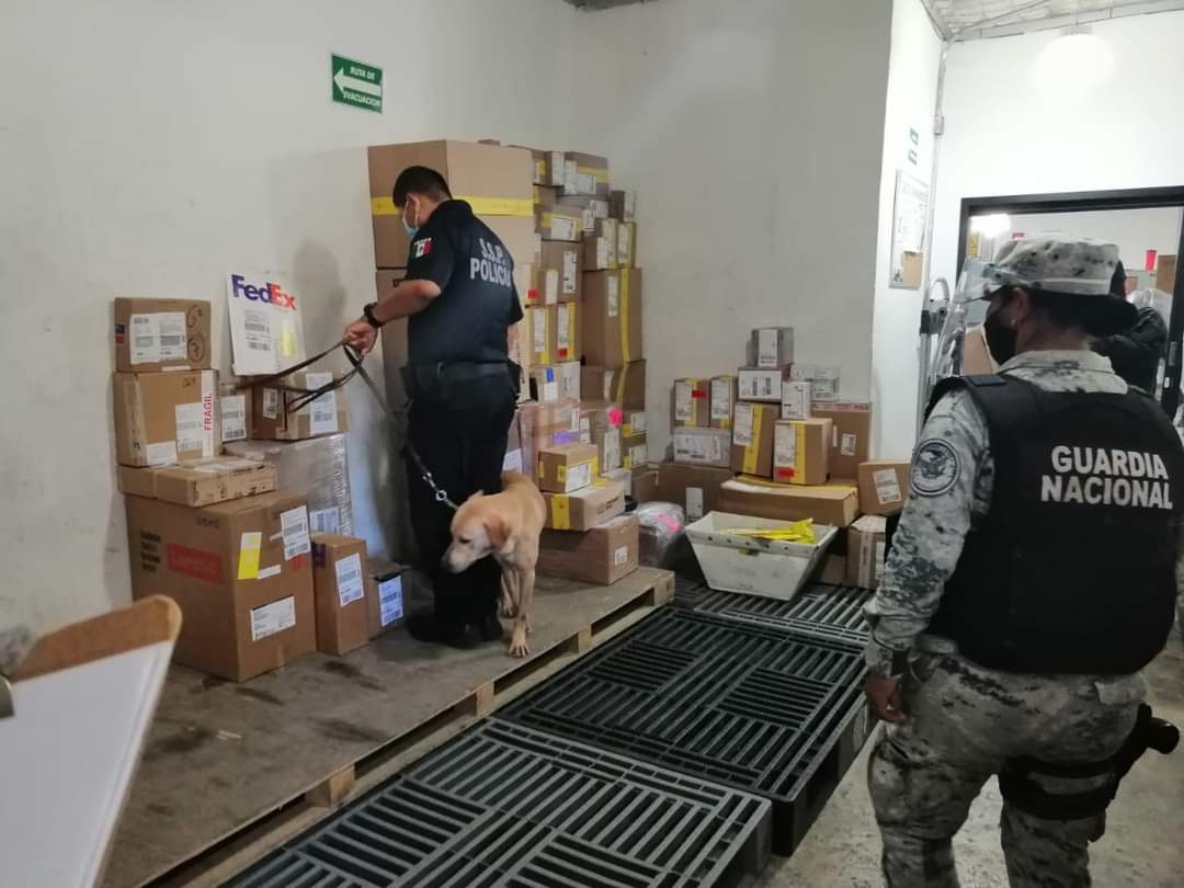 Guardia Nacional decomisa tres paquetes sospechosos en Ciudad del Carmen