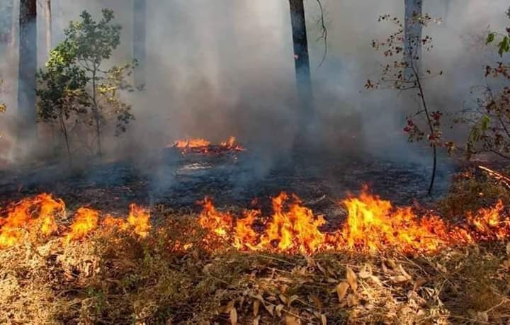 Los incendios en estos 2 últimos años han sido fuertes