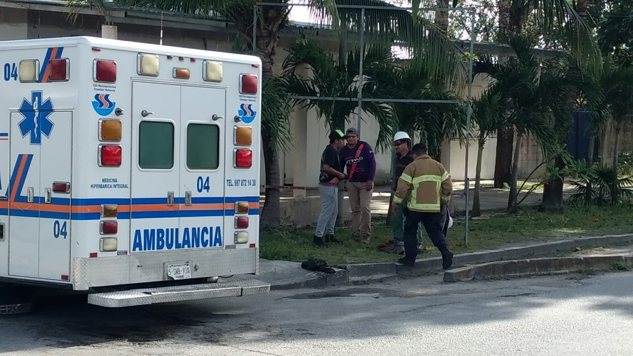 Trabajadores de CAPA son atacados por abejas en Cozumel