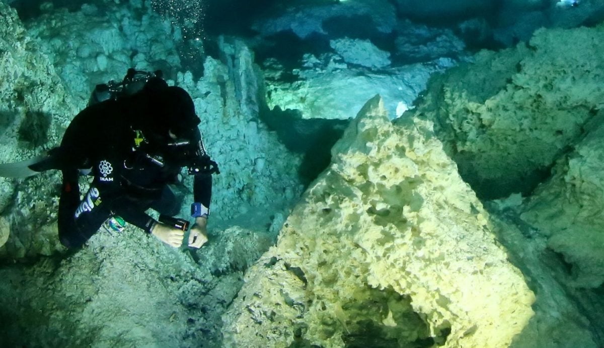 Los cenotes son uno de los principales atractivos de la Riviera Maya