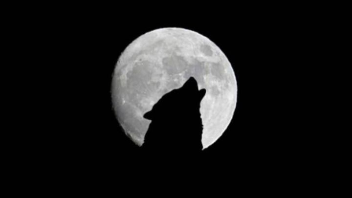 Luna del lobo: ¿Cuándo y a qué hora verla?