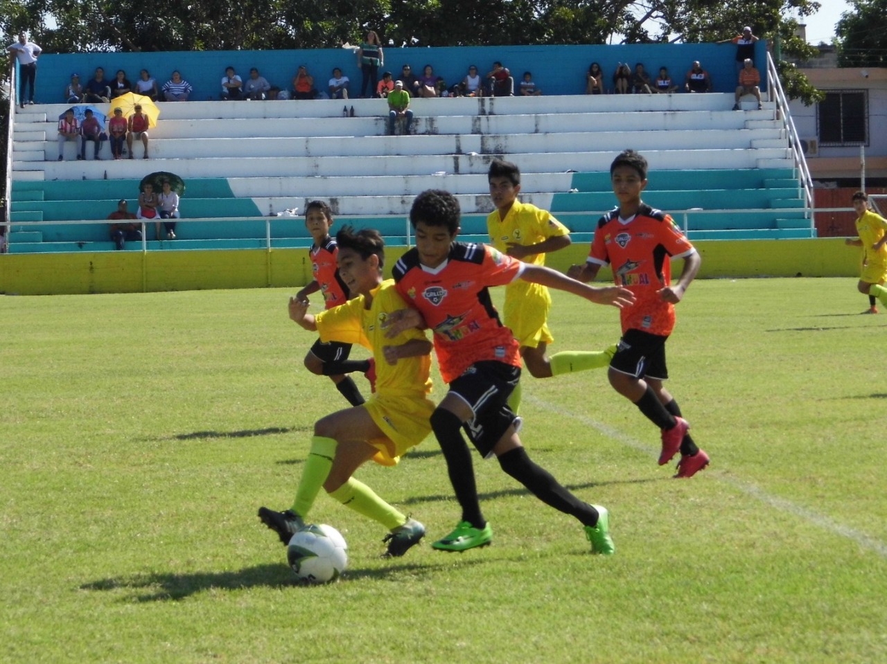 Tigrillos de Chetumal se prepara para las eliminatorias de la Liga Nacional Juvenil