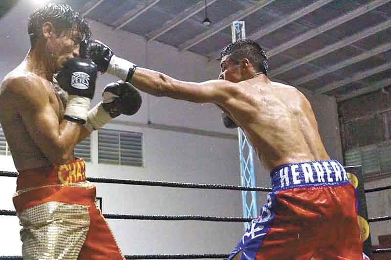 Boxeo no se rindió durante la pandemia en Yucatán