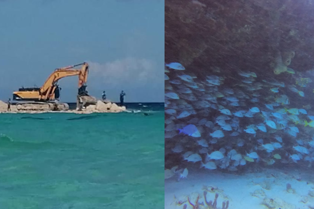 Asociaciones civiles exigen suspender obras de la marina de Xcaret en la Riviera Maya