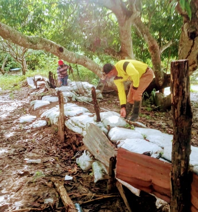 Continúa revisión de bordos en tres municipios a orillas del río Palizada