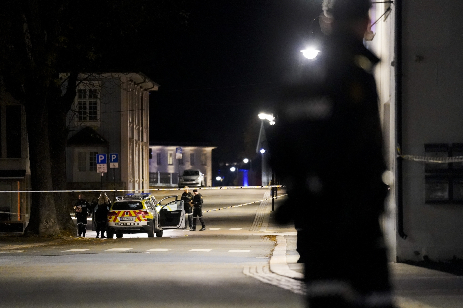 Confirman cinco muertos tras ataque con arco y flechas en Noruega