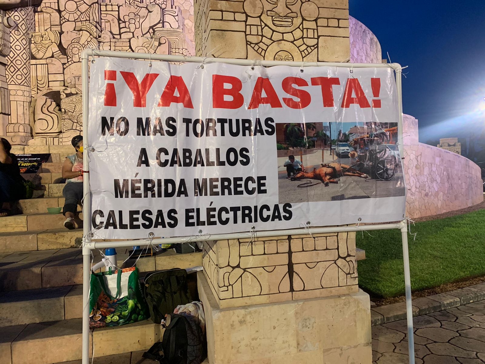Activistas de Mérida protestan contra el maltrato animal en Yucatán: VIDEO