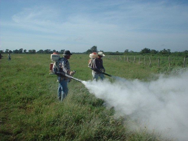 Campeche, estado con más zonas contaminadas por pesticidas en México: INECC