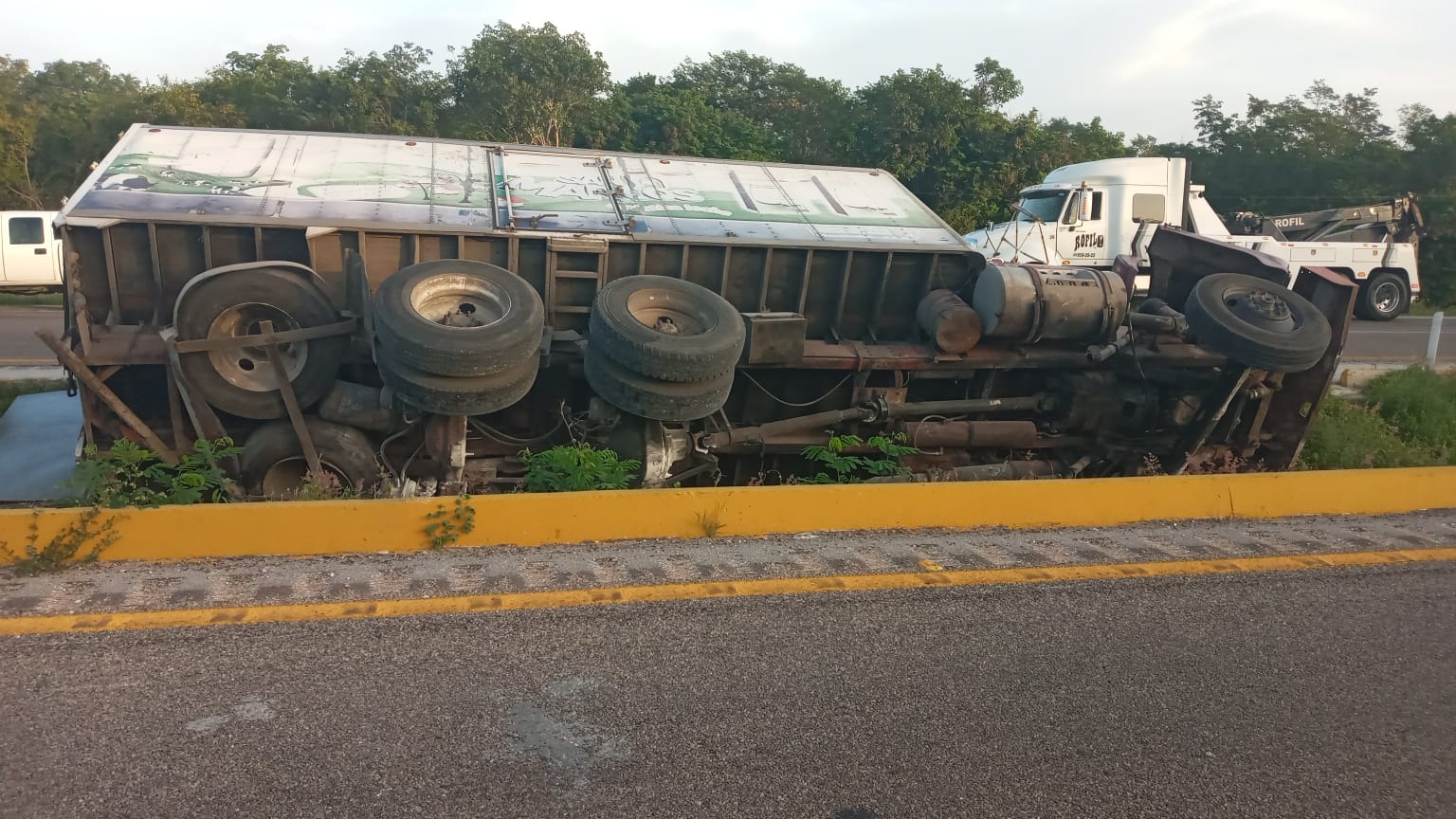 Vuelca tráiler con cocos en la carretera Campeche-Mérida