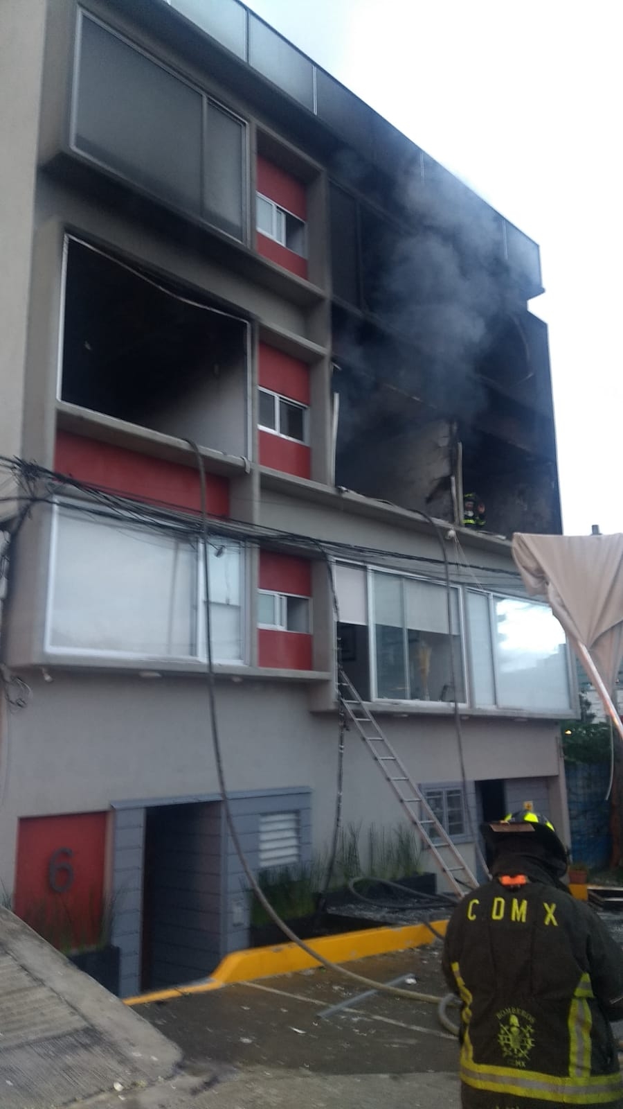 De acuerdo con el Heroico Cuerpo de Bomberos de la Ciudad de México, sus elementos extinguieron el fuego y rescataron a las mascotas