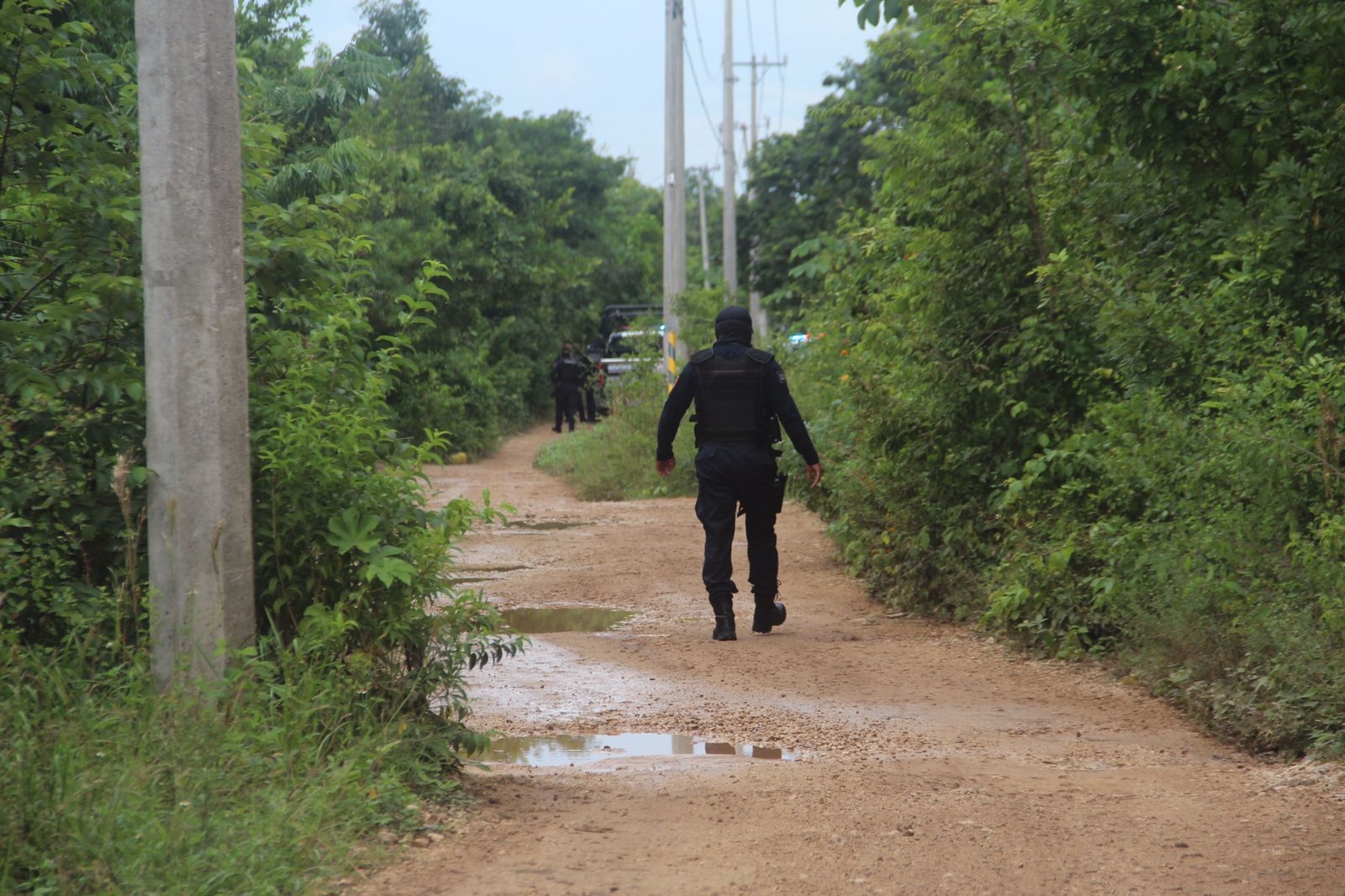 Hallan cadáver de una mujer en un camino de terracería en la  Región 110 de Cancún