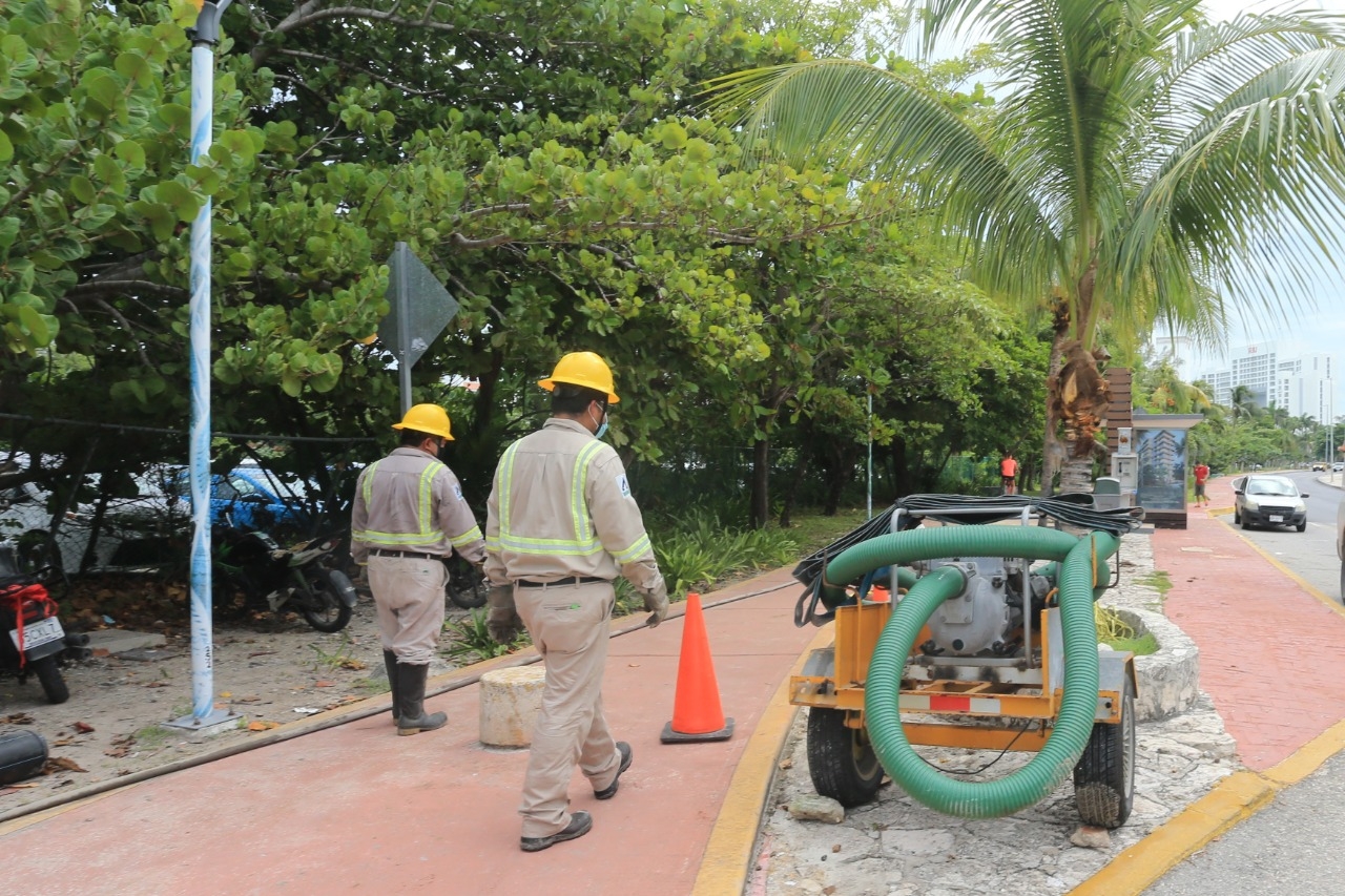 La cuadrilla de trabajadores de la CFE realizó trabajos de mantenimiento en la red eléctrica de la Zona Hotelera de Cancún