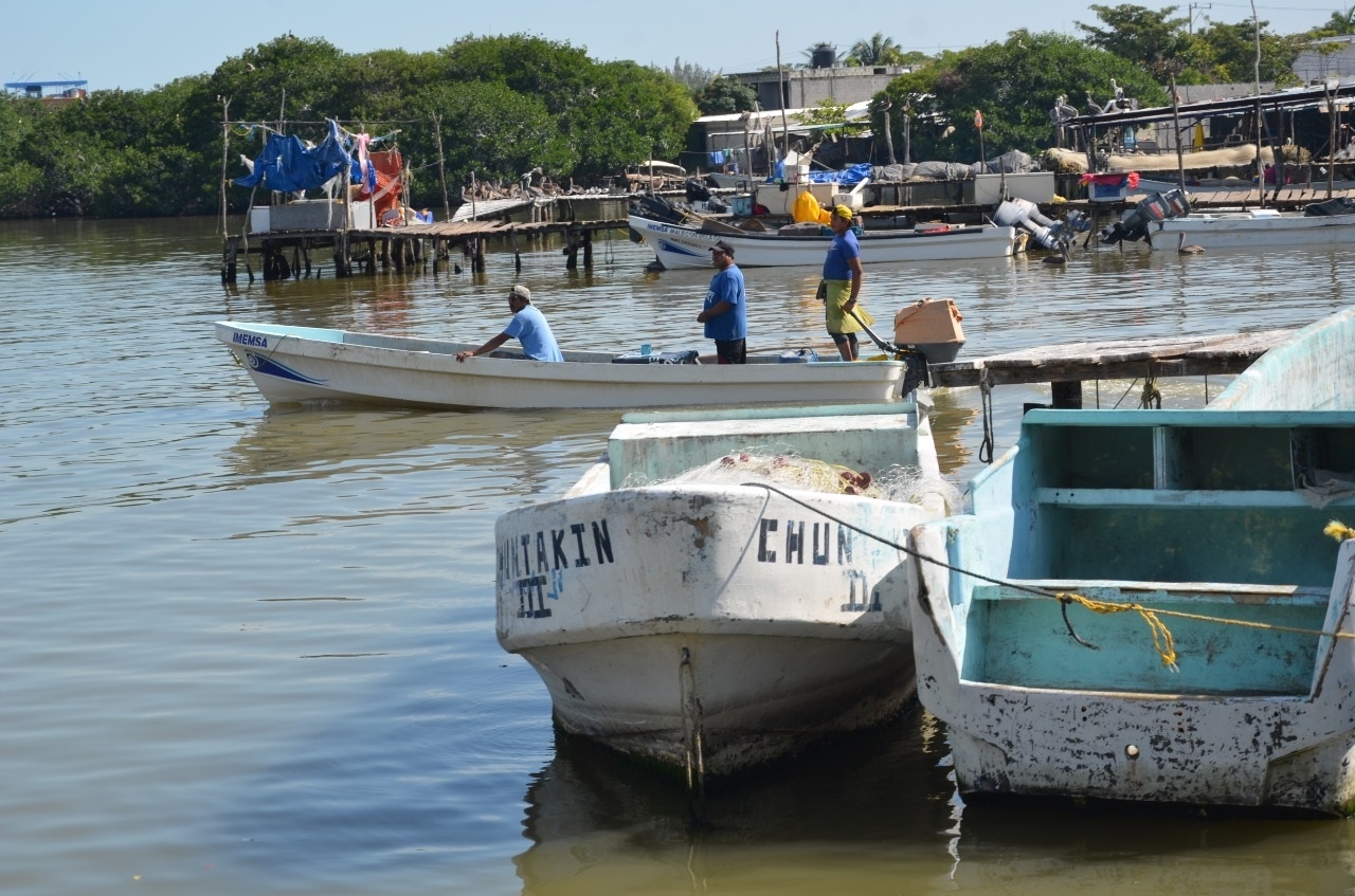 Pescadores acusan a Conapesca por embarcaciones piratas en Ciudad del Carmen