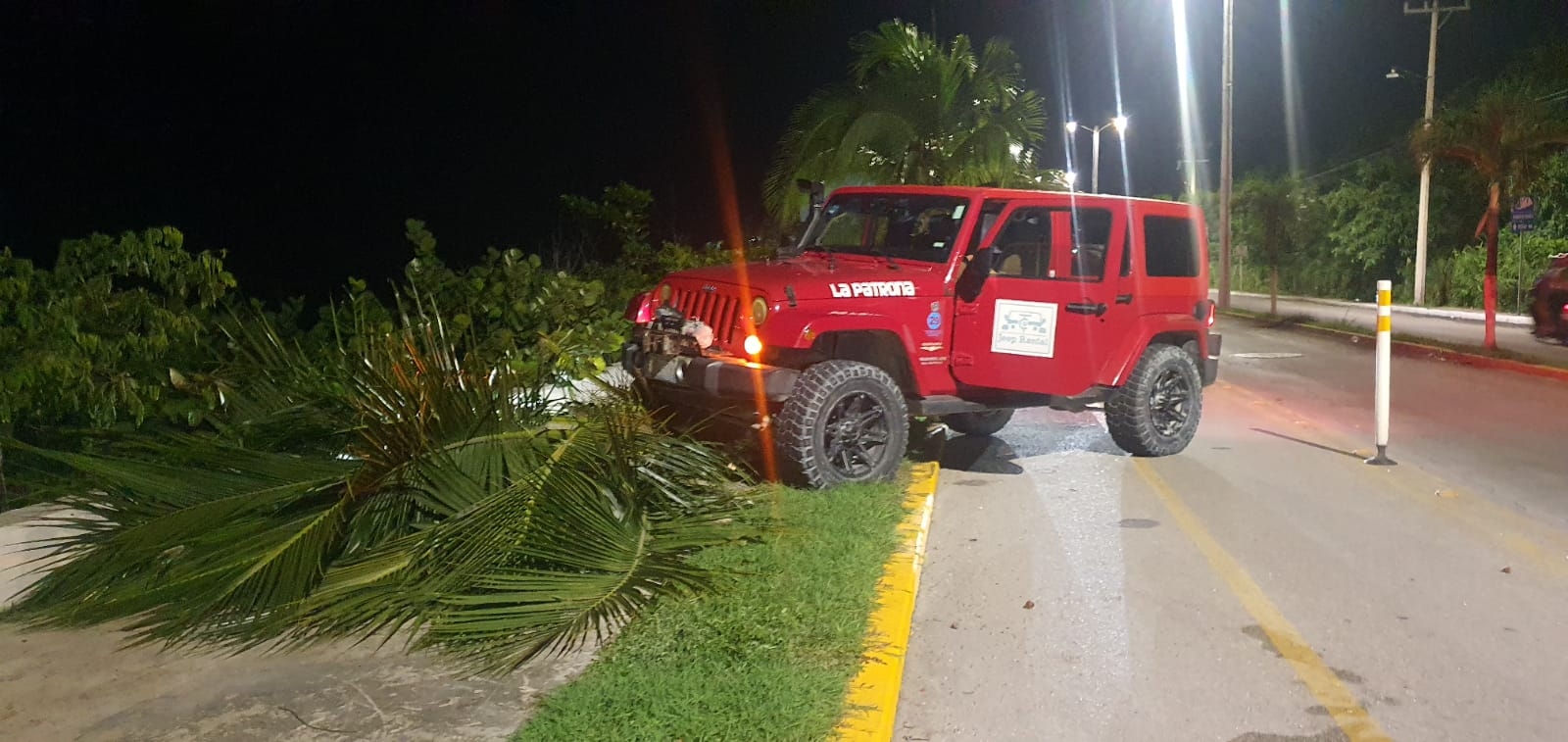 Turistas guatemaltecos borrachos se estrellan contra una palmera en Cozumel