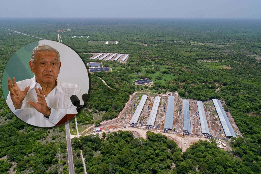 AMLO reforzará el cuidado al agua tras contaminación de granjas porcícolas en Yucatán